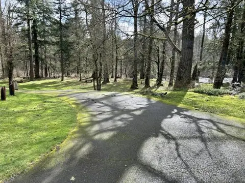 A paved path curves through a wooded park area with bare trees and green grass.
