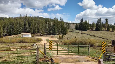 A dirt road with a cattle guard and green metal gate leads toward a white cabin in a mountainous, forested landscape.