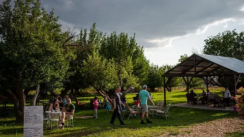 People gathering outdoors in a grassy area near trees and a pavilion.