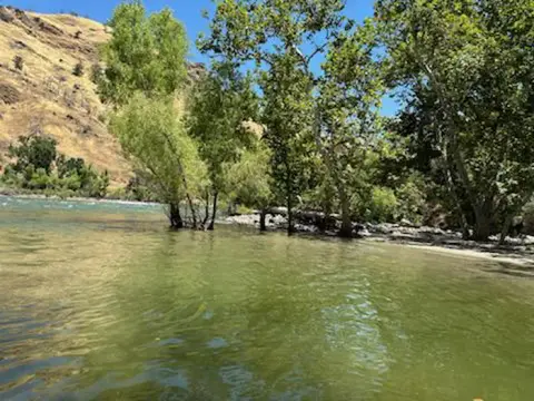 A scenic view of a river with trees along the bank and dry hills in the background.