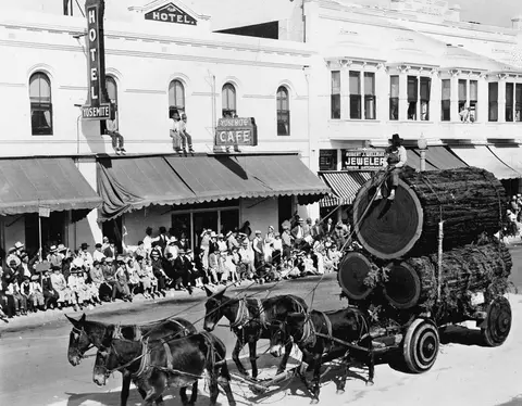 A historic black and white photo of a mule team pulling a wagon loaded with large logs past a crowd in front of buildings.