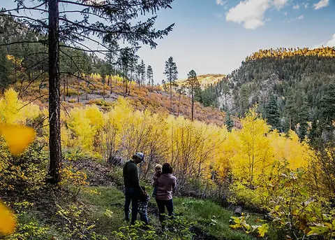 A family stands on a trail surrounded by vibrant yellow autumn trees and mountains.