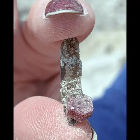 A person holds a small crystal specimen between two fingers.