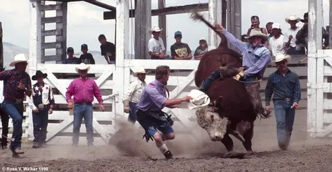 A cowboy rides a bucking bull at a rodeo while spectators watch.