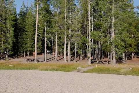 A sandy area and grassy strip lead up to a forest with tall pine trees and picnic tables.