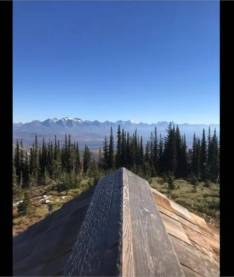 A view of mountains and forest from a wooden rooftop.