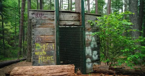 A weathered wooden structure with graffiti stands in a forest.