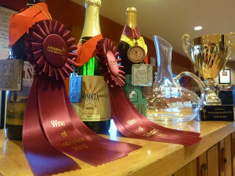 Wine bottles adorned with awards and ribbons stand next to a decanter and a trophy on a counter.
