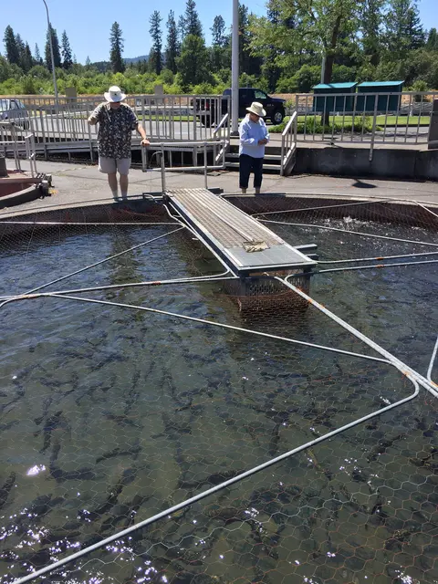 Fish pond at Cole M. Rivers Hatchery.