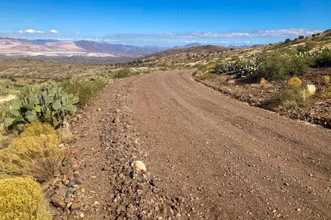 A dirt road curves through a desert landscape with cacti and distant mountains.