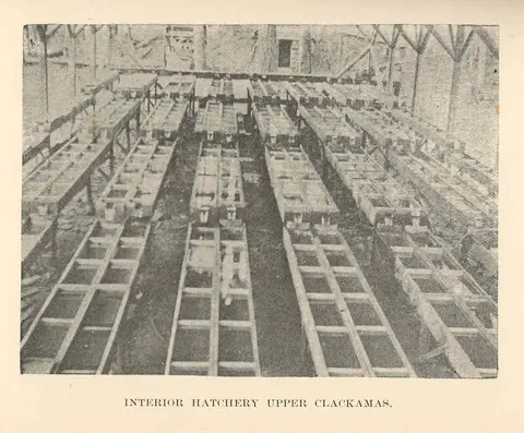 Historic interior at Clackamas Hatchery.