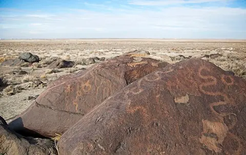 A photo of dark rocks with petroglyphs in a desert landscape.