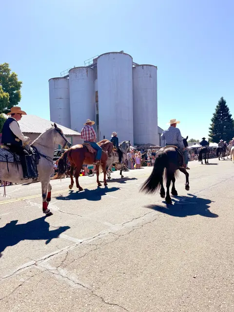 Several people ride horses down a street during an outdoor event.