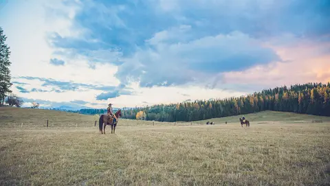 A person on horseback looks out over a grassy field toward a forest under a cloudy sky.