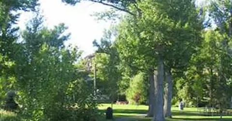 A view of a grassy park with trees and a pathway.