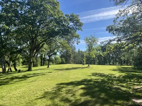 A grassy clearing surrounded by green trees under a blue sky.