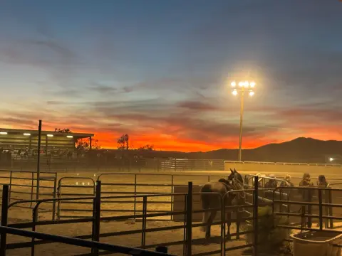 A sunset viewed over an outdoor rodeo arena with a horse standing by a metal fence.