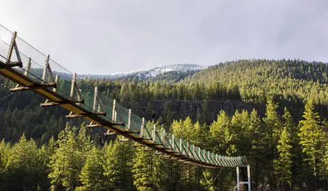A suspension bridge spans a forested landscape with mountains in the background.