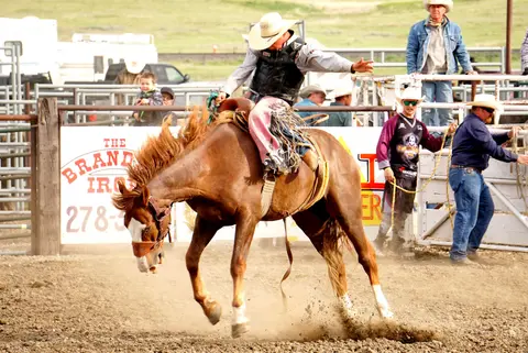 A cowboy rides a bucking horse in a rodeo arena.