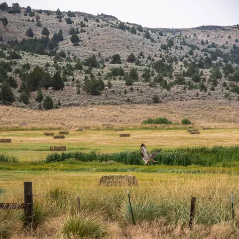 Snake River-Mormon Basin Back Country Byway landscape.
