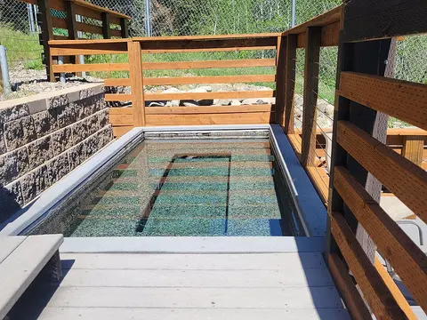 A small outdoor pool surrounded by wooden fencing and a stone retaining wall.