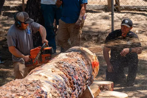 Power saw competition, Mid-Sierra Loggers Jamboree.
