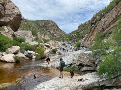 People hiking and swimming in a rocky canyon with desert vegetation.
