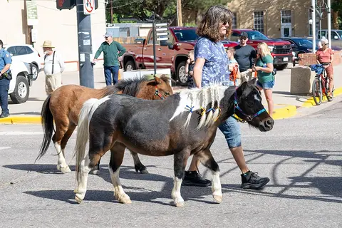 A woman leads two miniature horses down a street.