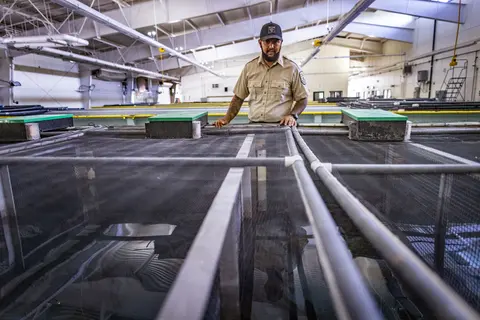 A man in uniform stands inside a large warehouse facility with netted tanks.