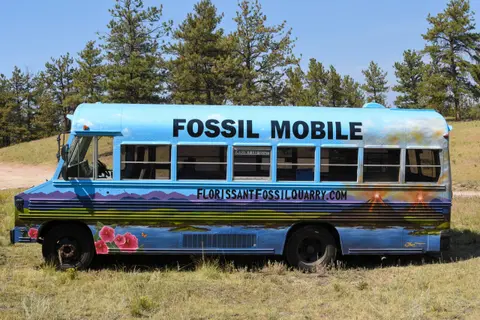 A blue bus painted with the words 'Fossil Mobile' is parked in a grassy field.