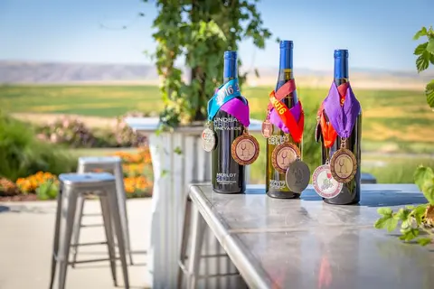Three wine bottles decorated with ribbons and medals stand on a table outdoors.