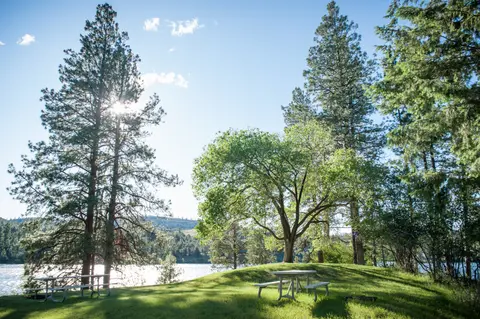 A scenic view of a grassy park with picnic tables and tall trees by a lake.