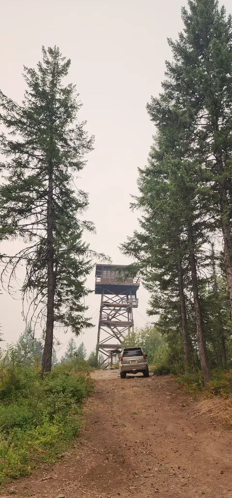 A tall wooden fire lookout tower stands at the end of a dirt road surrounded by pine trees.