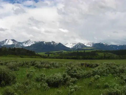 A green valley with shrubbery stretches toward distant snow-capped mountains under a cloudy sky.