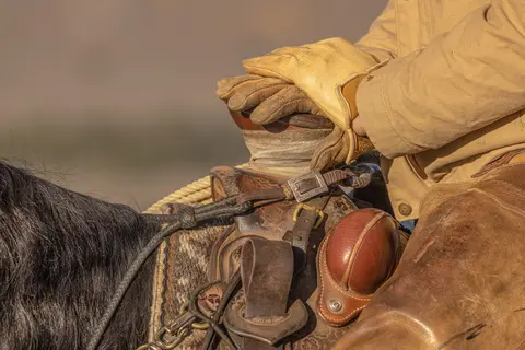 A person wearing gloves rests hands on a saddle horn while riding a horse.