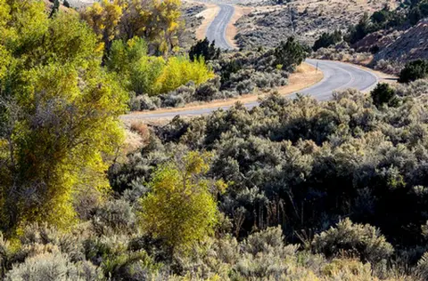 A winding road through a hilly, arid landscape with trees and bushes.