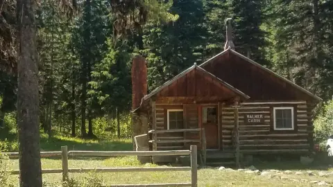 A rustic wooden cabin sits surrounded by tall pine trees.