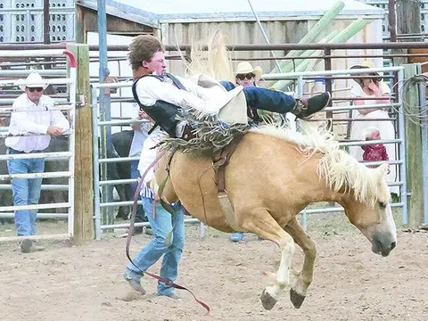 A cowboy rides a bucking horse at a rodeo arena.