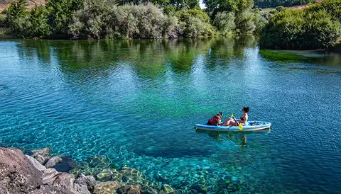 A person and a dog in a kayak on clear blue water.