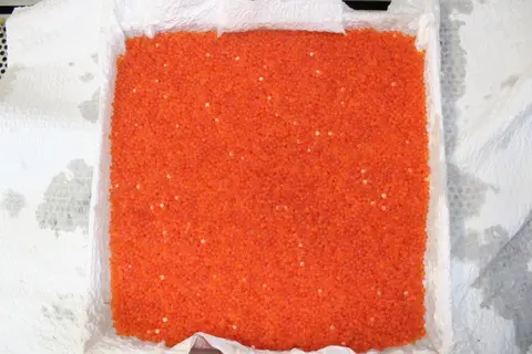 A large quantity of orange fish eggs is displayed in a lined container.
