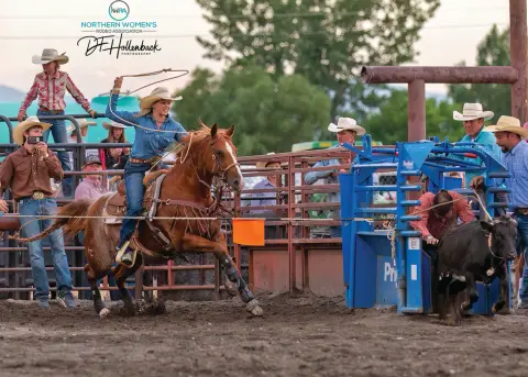 A cowgirl on horseback prepares to throw a lasso at a rodeo event.