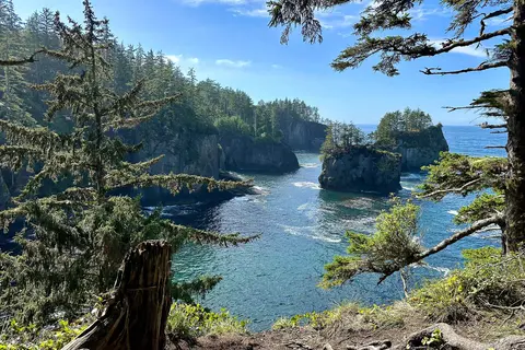 A scenic coastal landscape featuring rocky islands, forested cliffs, and the ocean viewed through evergreen trees.