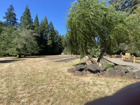 A grassy area with rows of beds and tall trees under a clear blue sky.