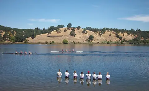 A group of people standing in a lake watching rowing boats on the water.