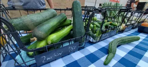 Fresh zucchini and cucumbers displayed in wire baskets at an outdoor market.