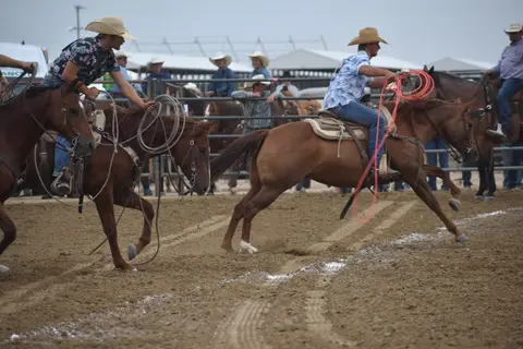 Cowboys on horseback participate in a rodeo event in an arena.