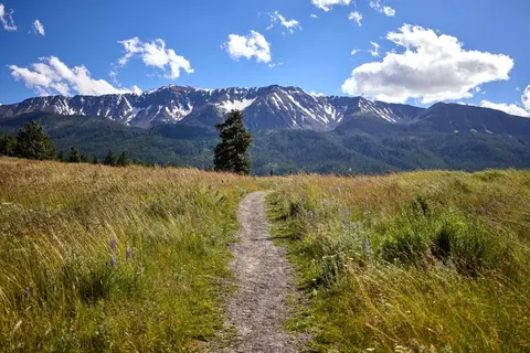 A dirt path winds through a grassy field towards a snow-capped mountain range under a blue sky.