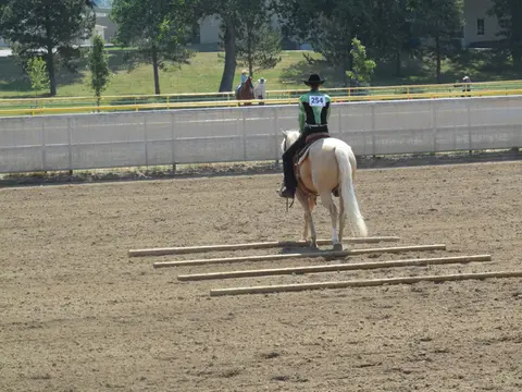 A rider on a horse approaches a series of poles in an arena.