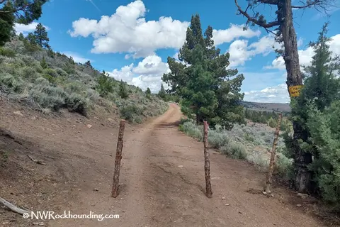 A dirt road winds through a hillside landscape with sparse trees and bushes under a cloudy sky.