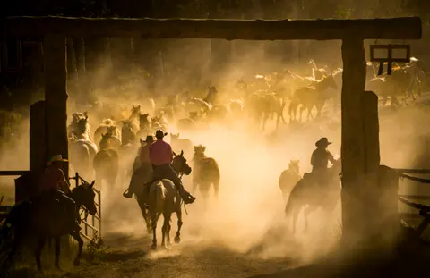 A large herd of horses being driven through a wooden gateway by cowboys in a dusty landscape.